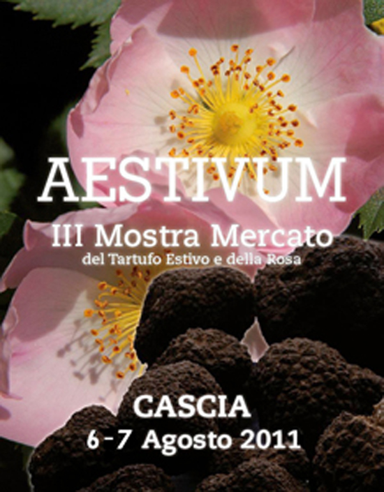 aestivum